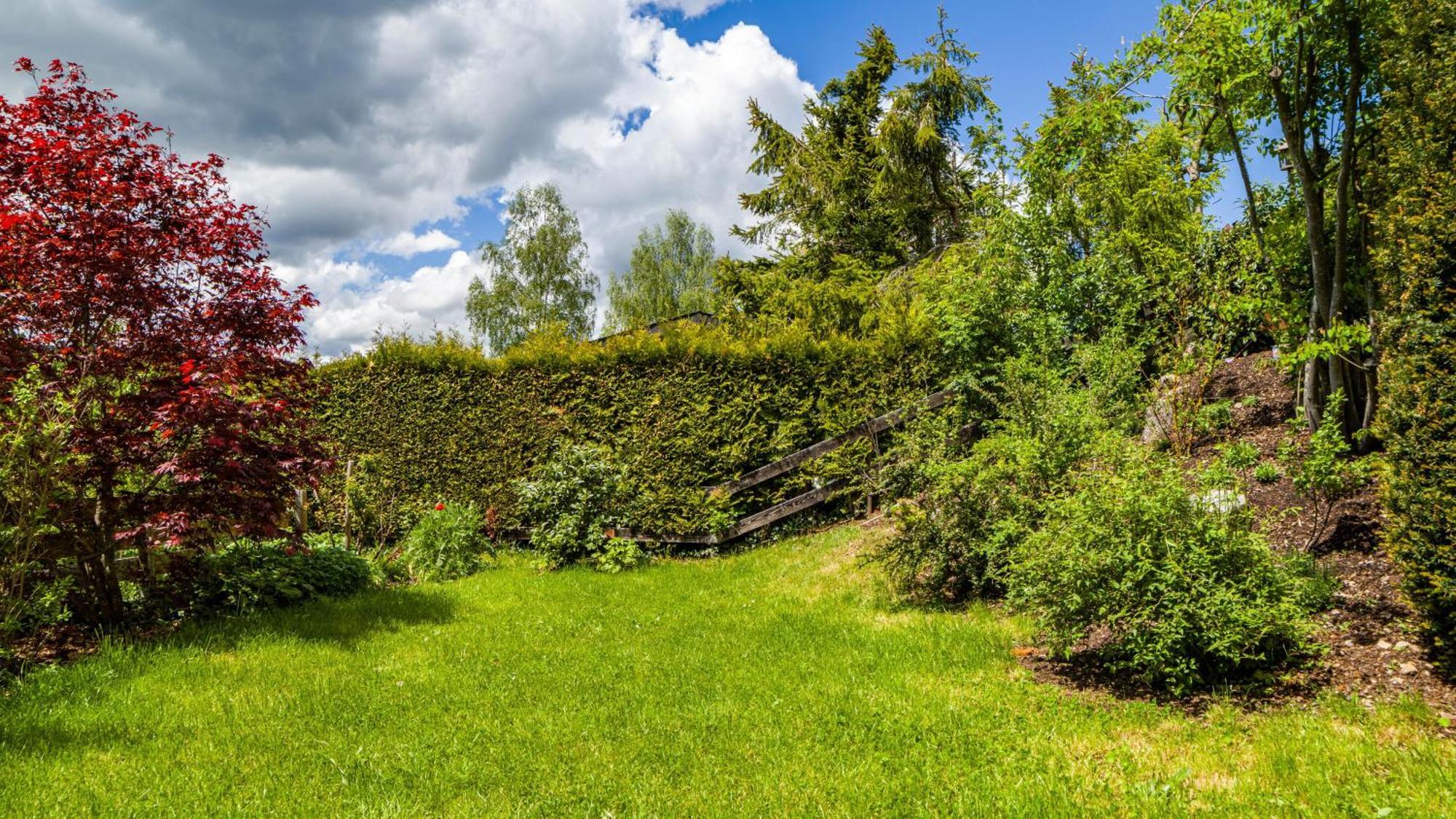 Schwarzwaldliebe Villa Lenzkirch Exterior foto